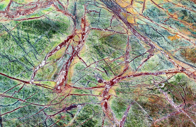 A visual representation of data flowing into a database, stylized to look like veins and arteries, with a map of Germany in the background.