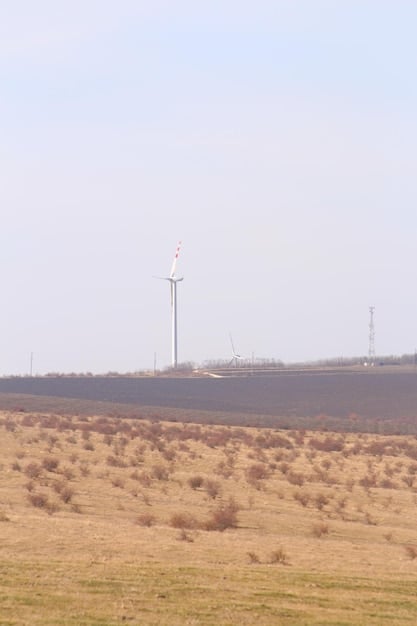 Energiewende für Unternehmen: Förderprogramme und wie Sie profitieren