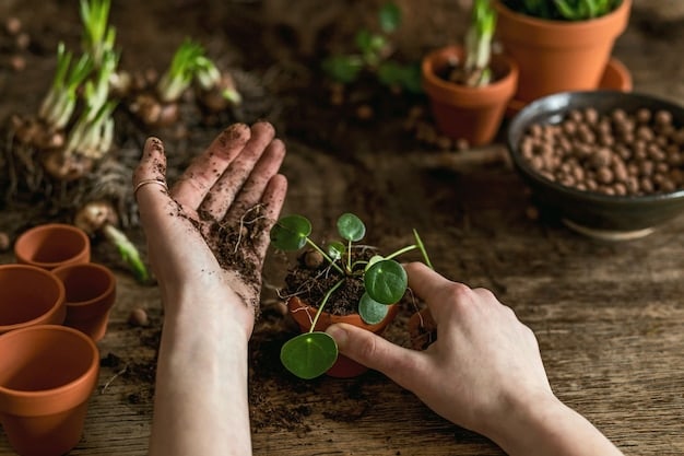 A close-up shot of several hands planting a small seedling in fertile soil, symbolizing growth and sustainability. The background is blurred, focusing on the hands and the seedling, representing the collective effort towards a greener future.