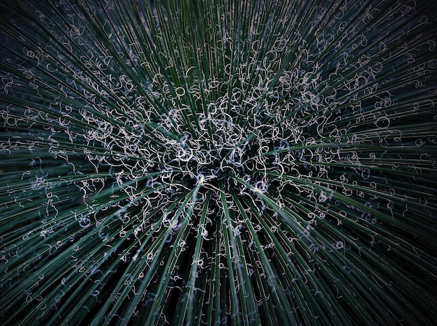 A conceptual illustration of quantum encryption, showing entangled particles creating an unbreakable key, representing the future of data security in Germany against quantum computing threats.