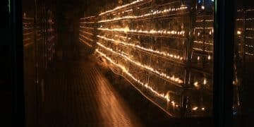 Die neue EU-Richtlinie zur digitalen Sicherheit: Was deutsche Unternehmen beachten müssen Die neue EU-Richtlinie zur digitalen Sicherheit: Was deutsche Unternehmen beachten müssen - Cover Image